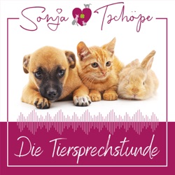 AV136: Freigänger-Katzen füttern - keine gute Idee!