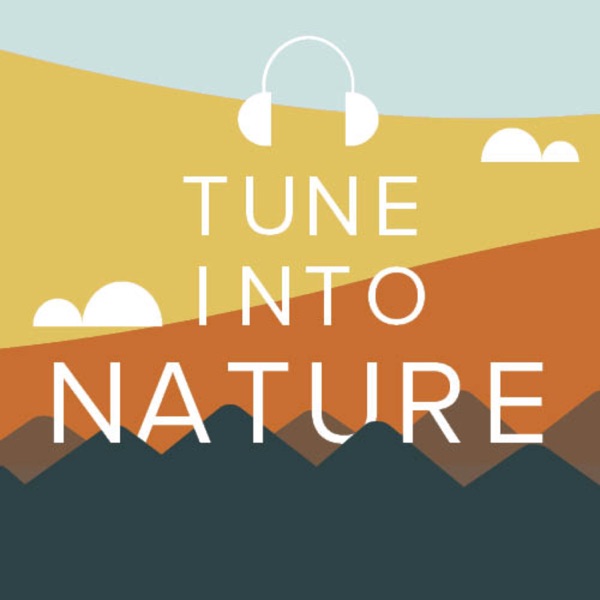 Tune Into Nature Artwork