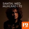 Samtal med Mühlrad