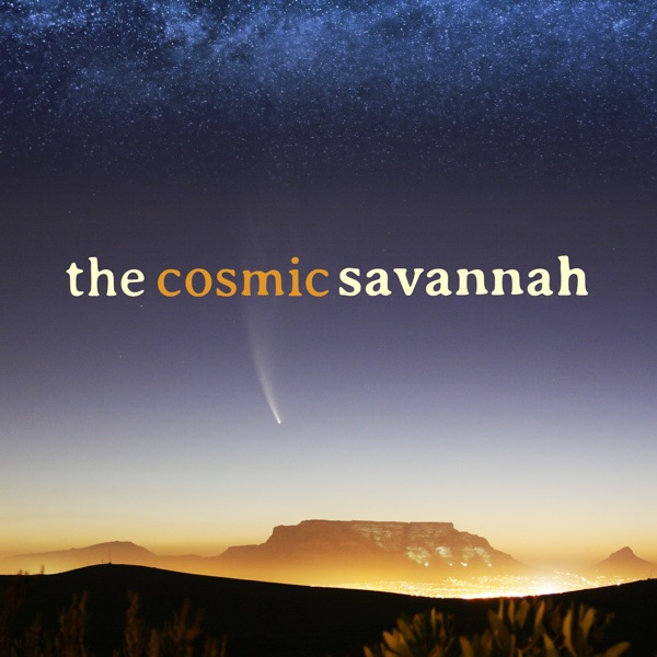 The Cosmic Savannah Artwork