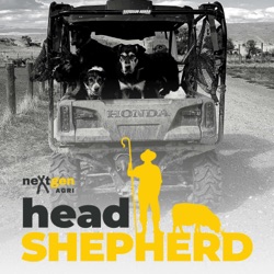 Head Shepherd LIVE 2024