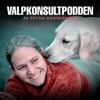 Valpkonsultpodden