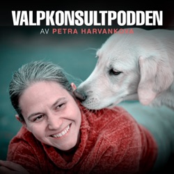 Berikning med etologen Heide Garrigan och Sofie Kummu från Vimedvovve