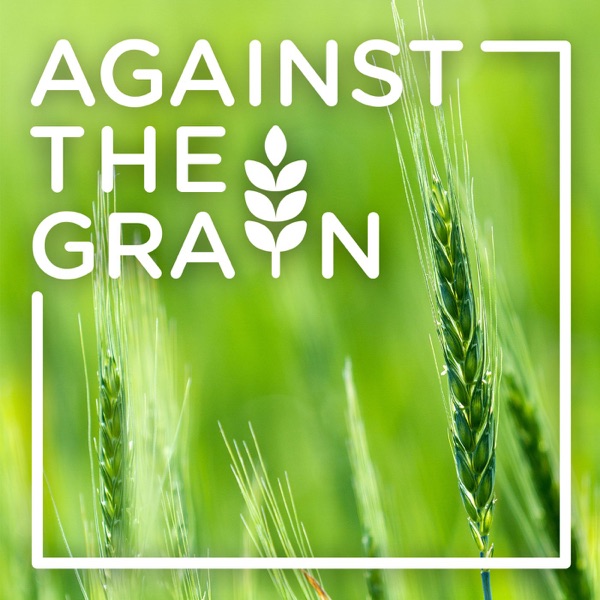 Against the Grain Podcast Artwork