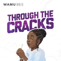 Through The Cracks podcast