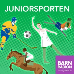 Handbollsspelaren Emil, 11 år om att lägga straff: ”Måste det vara jag som tar den?”