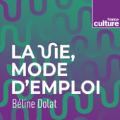 La vie, mode d'emploi - France Culture