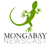 Mongabay Newscast - Mongabay.com