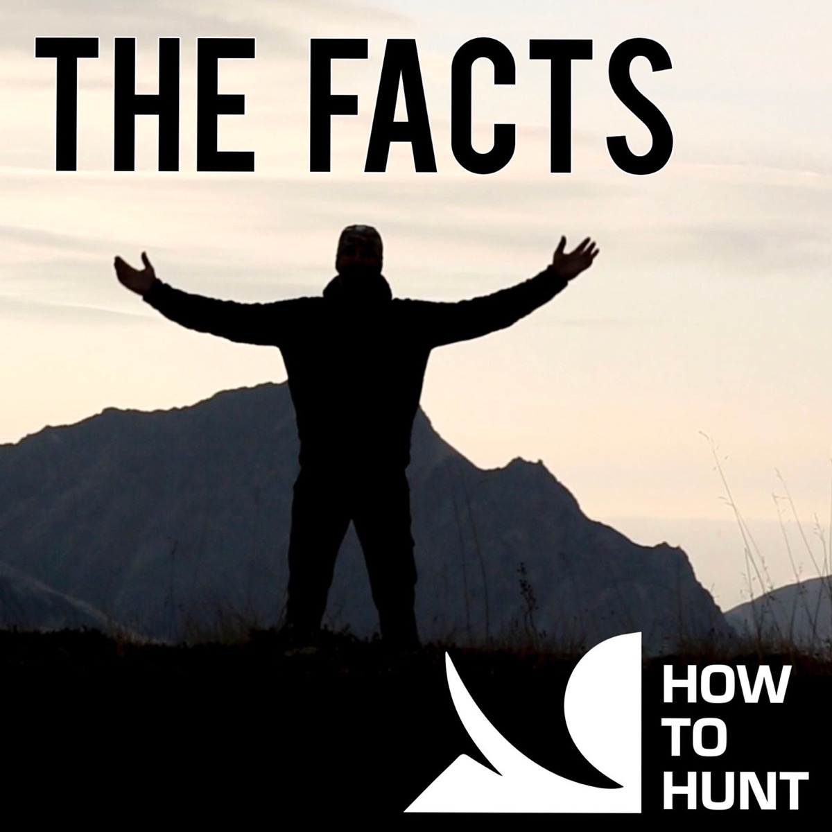 The Facts By Howtohunt.com | Lyssna Här | Poddtoppen.se