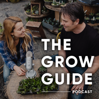 2020 Houseplant Trends with Jane Perrone 