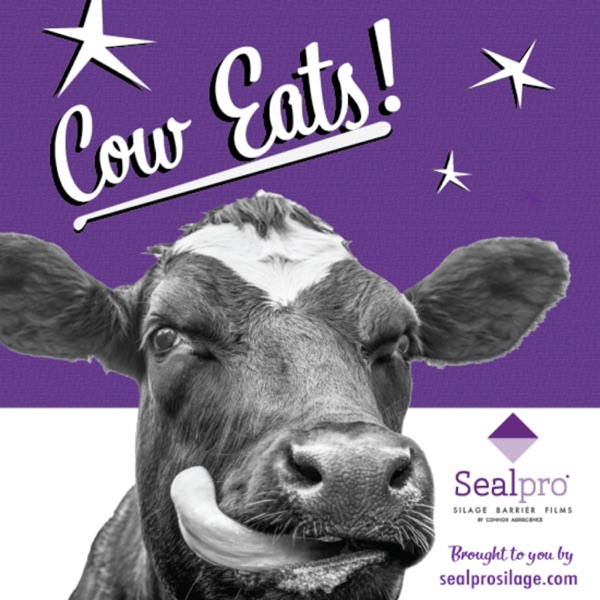 Cow Eats by Sealpro® Silage Barrier Film Artwork