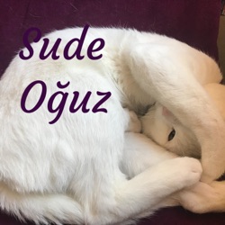 Sude Oğuz