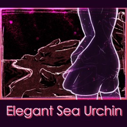 Elegant Sea Urchin