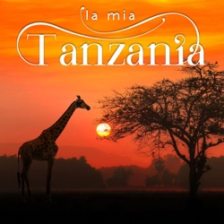 Qua e là per la Tanzania