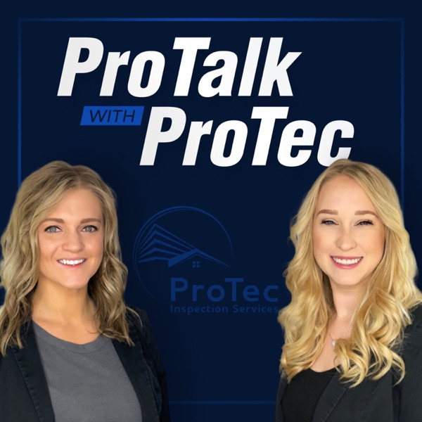 Artwork for ProTalk with ProTec