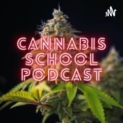 The Sesh - Presents - A Journey into Cannabis With Narith Panh