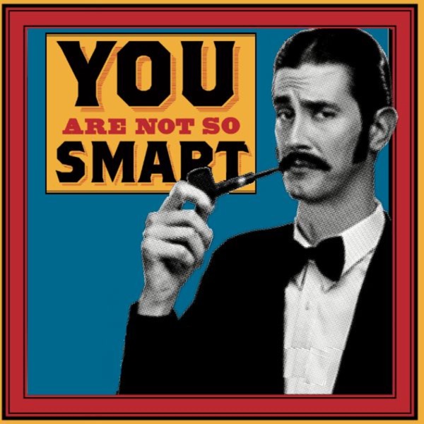 You Are Not So Smart Artwork