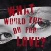 What Would You Do For Love? artwork