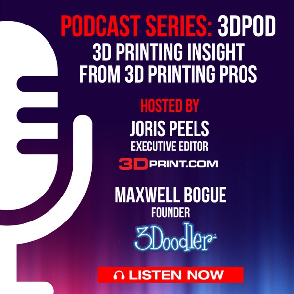 3DPOD: Insight from 3D Printing Pros Artwork