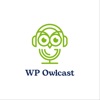 WP Owlcast artwork