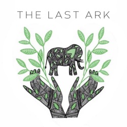 The Last Ark