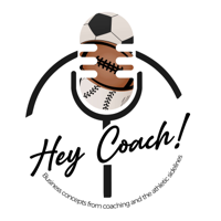 Bonus Episode: Book Launch: Lindsey Hall's Book: The Four Forces of Life