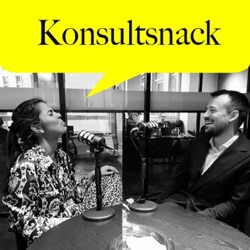 Konsultsnack