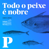 Todo o Peixe é Nobre podcast