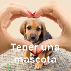 Tener una mascota