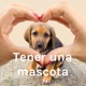 Tener una mascota