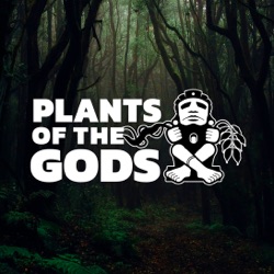 Plants of the Gods: S5E9. The Ethnobotany of Amazonian Lianas: A Conversation with ethnobotanist Bruce Hoffman