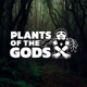 Plants of the Gods: S5E10. The Mushroom Moment
