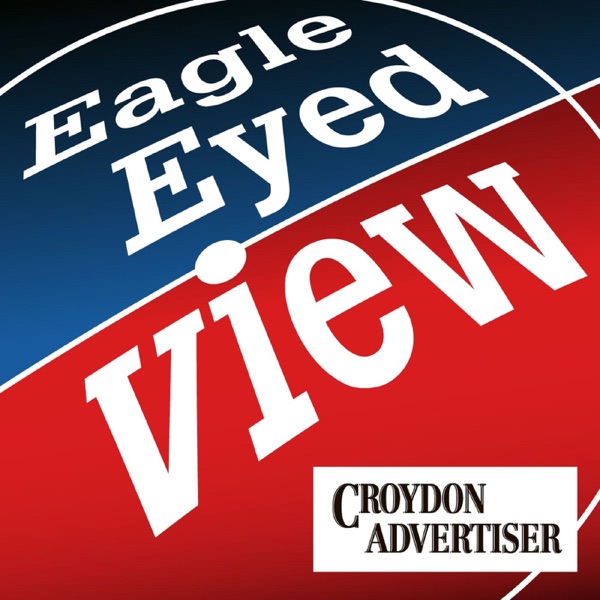 Eagle-eyed View Artwork