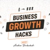 Business Growth Hacks artwork
