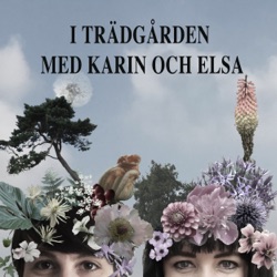 37. Vinter i trädgården