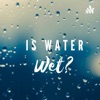 Is water wet?  artwork