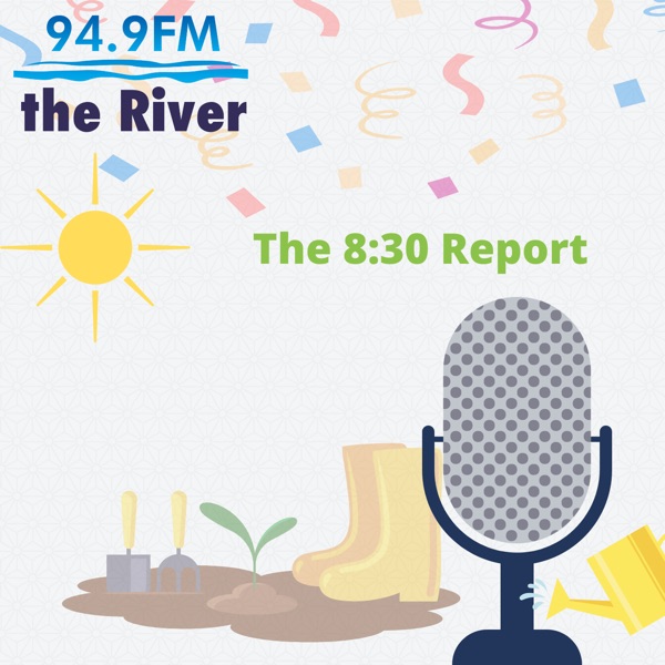 KRVB The 8:30 Report Artwork