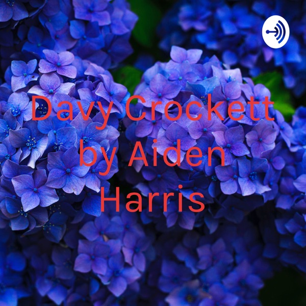 Davy Crockett by Aiden Harris Artwork
