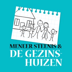 Meneer Steenis en de Gezinshuizen