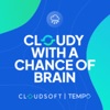 Cloudy With A Chance of Brain - Bringing the Cloud Down to Earth artwork