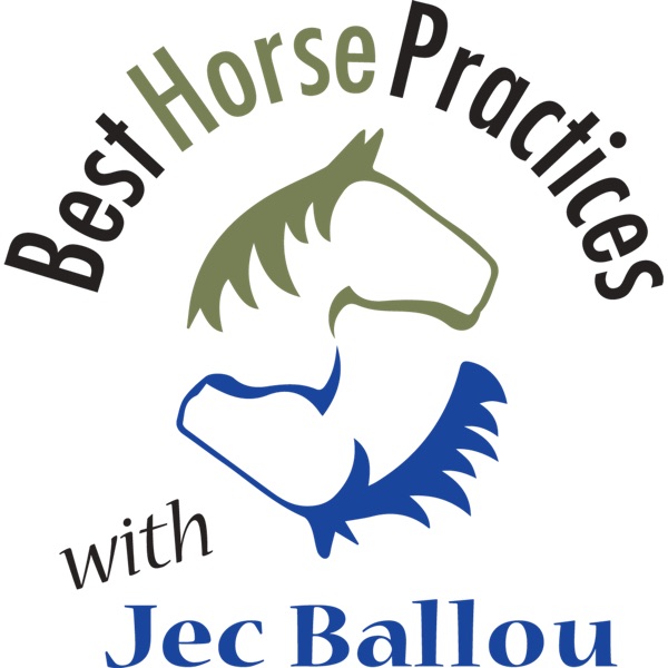 Best Horse Practices Podcast Artwork