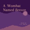 Stories of Benson the Wombat, his family and friends artwork