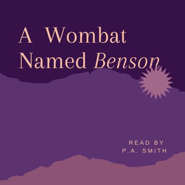 Stories of Benson the Wombat, his family and friends Artwork