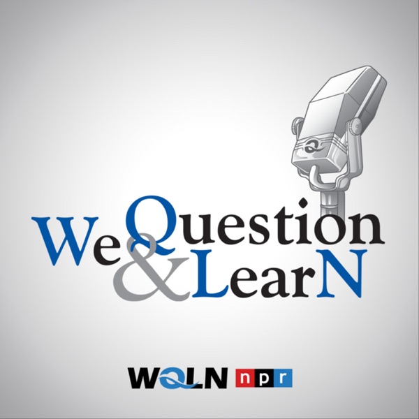 We Question & Learn Artwork