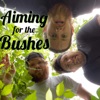 Aiming for the Bushes artwork