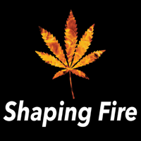 Considering Cannabis Stock Market Opportunities with guest Alan Brochstein