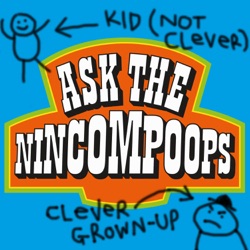 ASK THE NINCOMPOOPS ARE BACK!