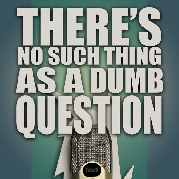 There's No Such Thing As A Dumb Question Artwork
