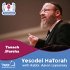 Yesodei HaTorah artwork