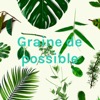 Graine de possible